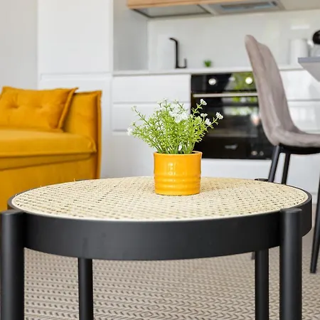 Zalia Kopa Su Baseinu, Sventoji Apartment Palanga